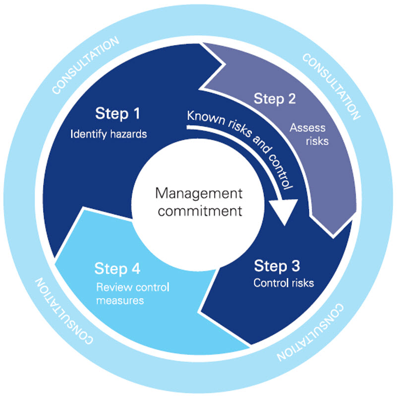Figure 1: The four-step risk management process